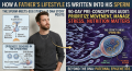 male epigenetics and sperm image